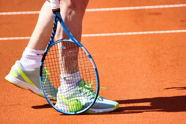 ATP排名<br>投注勝率秘密